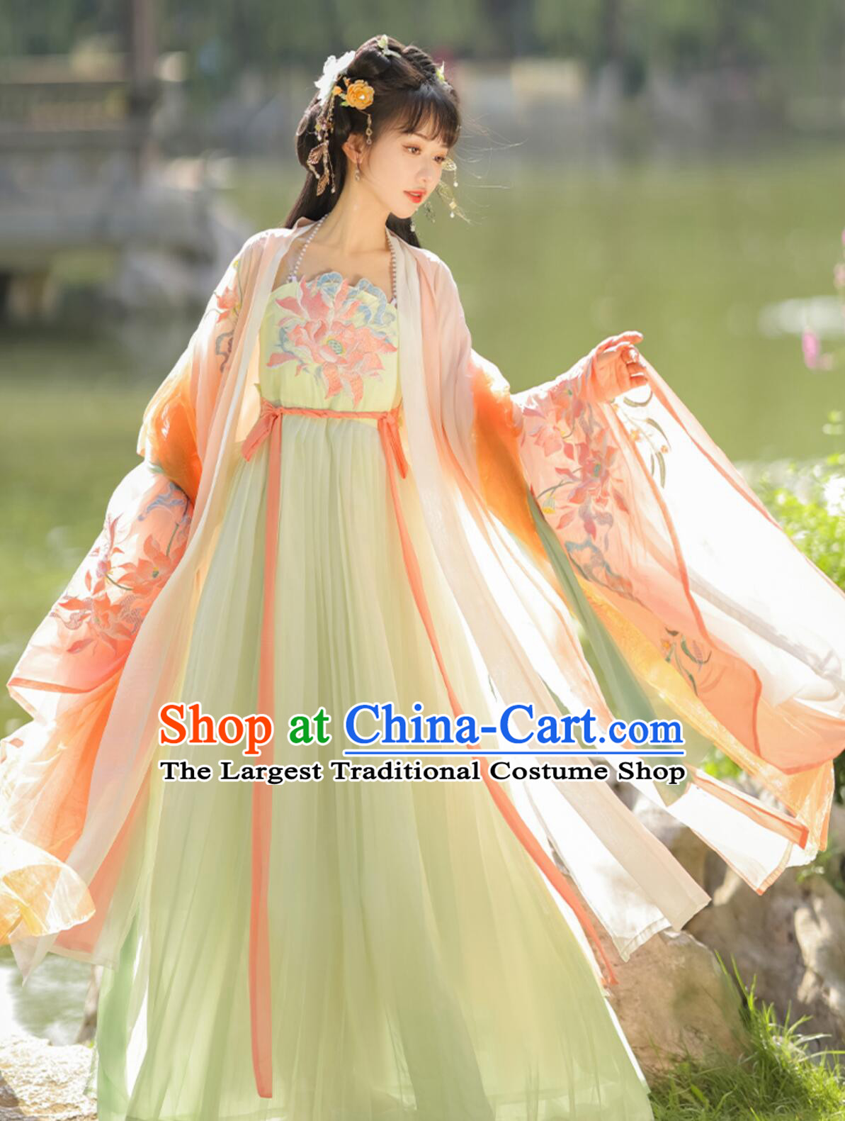 Ancient China Young Lady Costume Traditional Chinese Clothing Tang Dynasty Princess Hanfu Dress