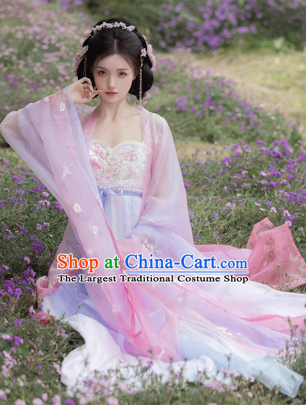 Online Shop Hanfu Chinese Southern Dynasties Princess Embroidered Pink Dresses Ancient Empress Garment Costumes