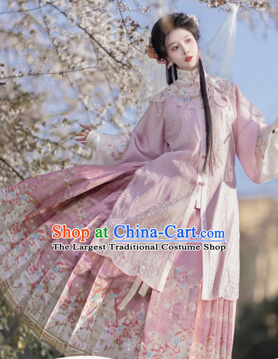 Traditional Ming Dynasty Princess Hanfu China Pink Long Shirt and Mamian Qun Ancient Chinese Female Costumes