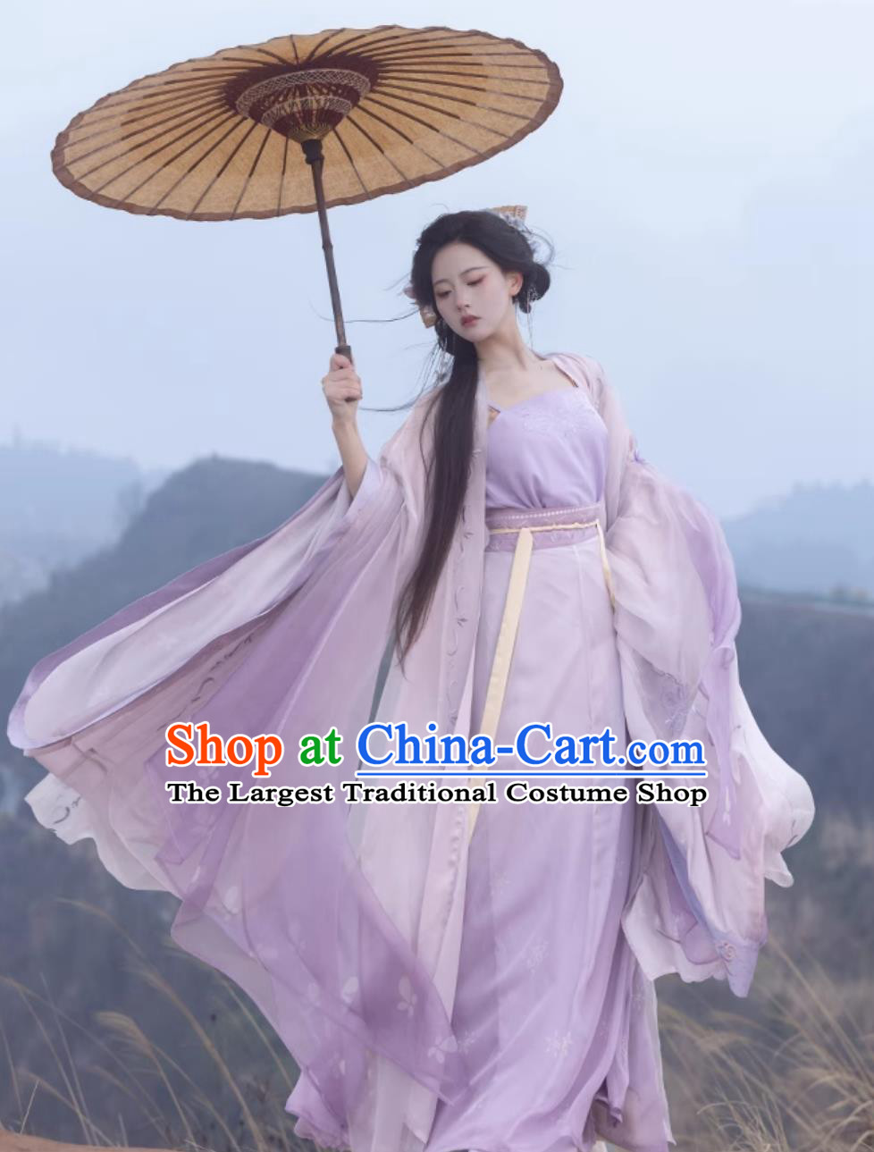 Traditional Song Dynasty Hanfu China Woman Clothing Ancient Chinese Princess Lilac Costumes