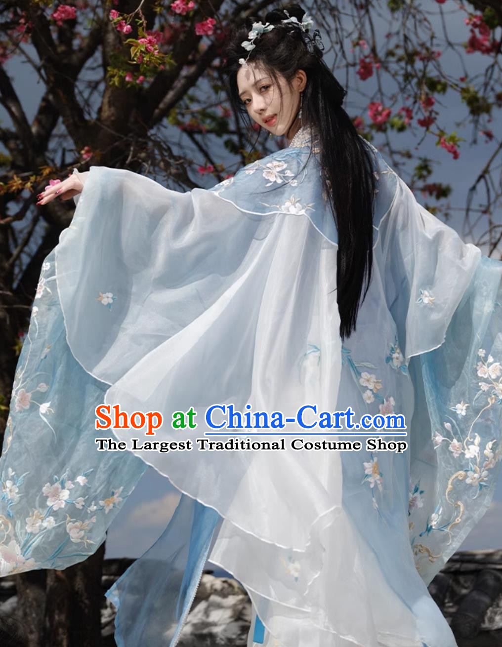 Traditional Hanfu Dress Ancient Chinese Female Clothing Tang Dynasty Princess Blue Garments