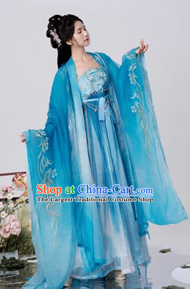 Tang Dynasty Hezi Qun Wide Sleeve Cloak Ancient Fairy Embroidery Blue Dress Traditional Chinese Women Hanfu