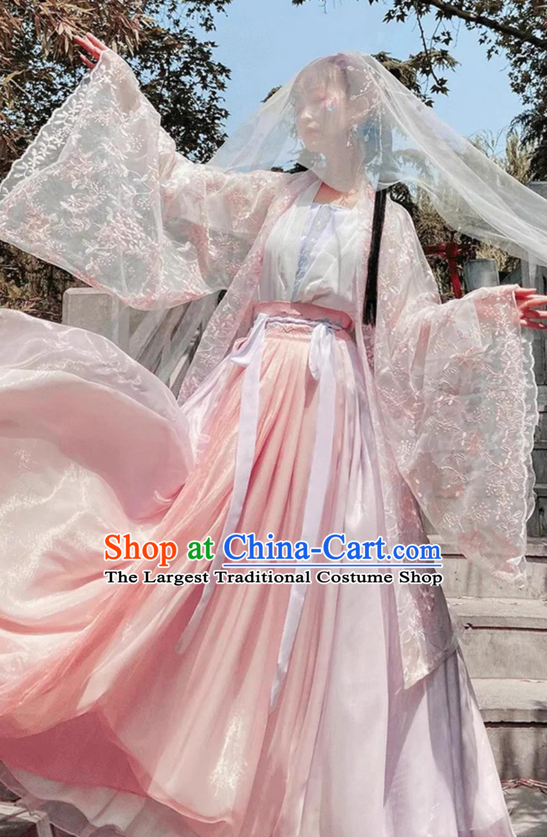 Chinese Traditional Clothing Song Dynasty Pink Large Sleeve Gown Blouse and Skirt Ancient Princess Embroidery Hanfu