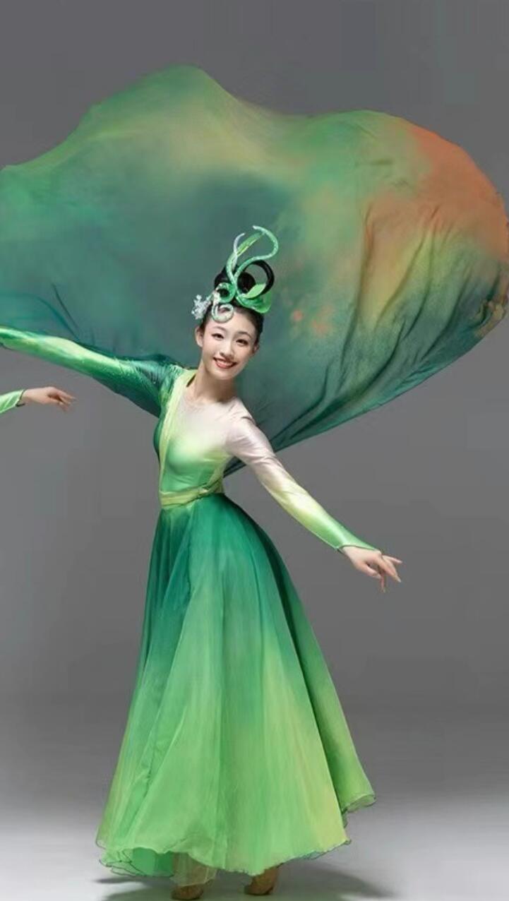 Chinese Classical Dance Performance Costume Opening Dance Green Dress