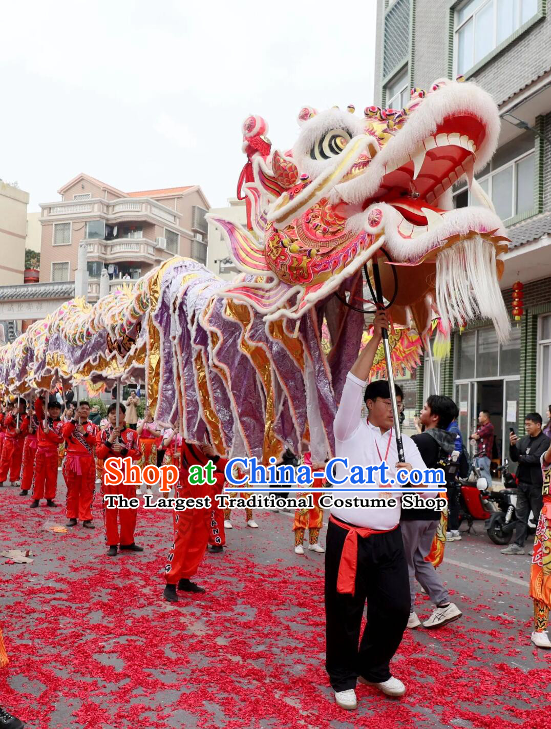 Traditional Chinese Dragon Dance Props Festival Parade Dragon Southern Dancing Dragon Head and Clothing