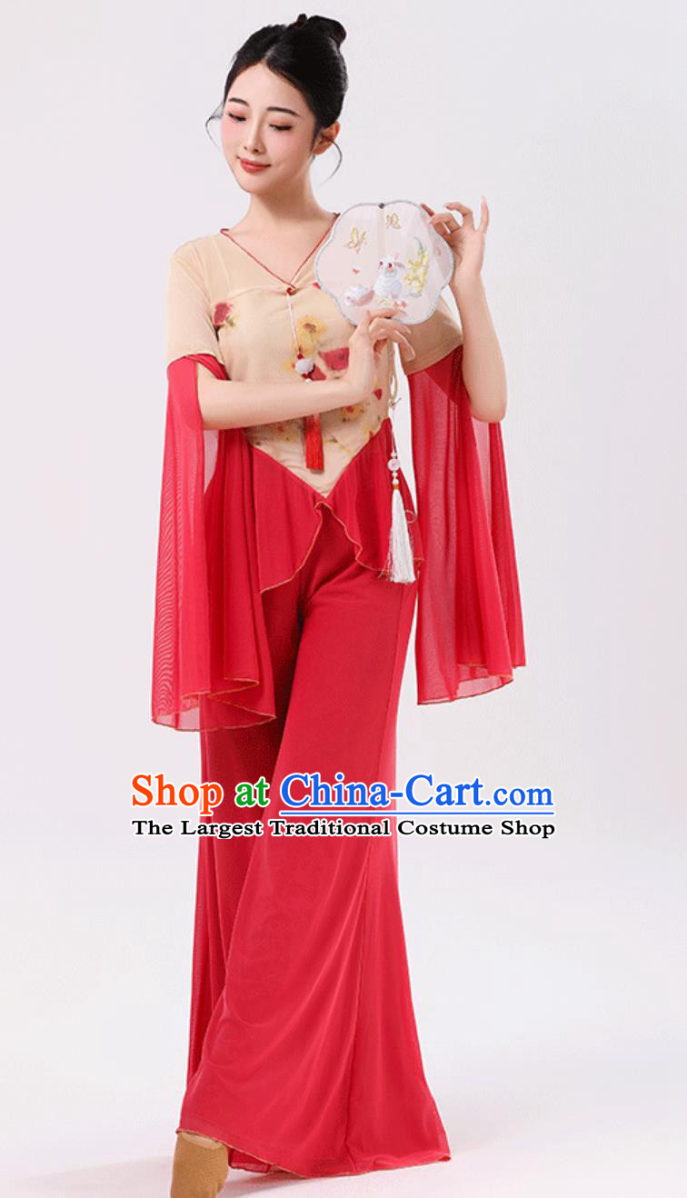 Chinese Dance Practice Wear Performance Outfit Classical Dance Women Chiffon Top Flared Pants Set