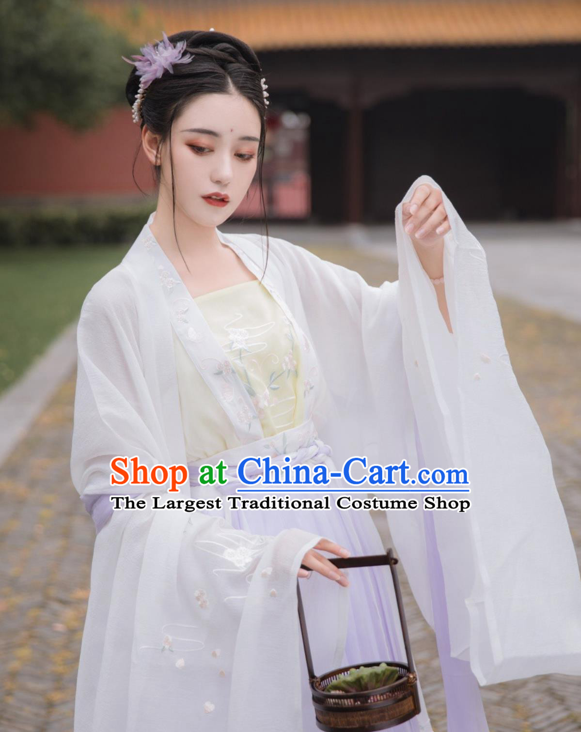 Chinese Hanfu Dress Tang Dynasty High Waist Ruqun