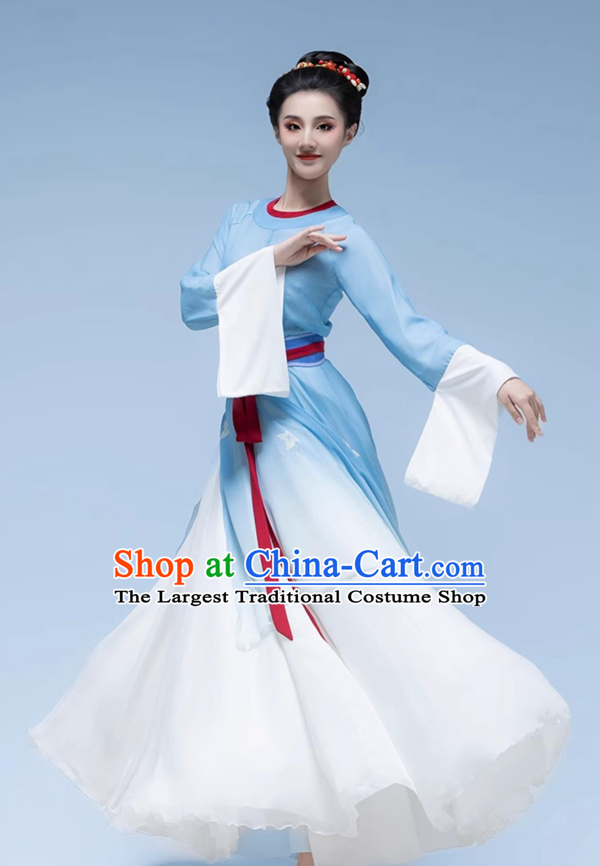 Plum Blossom Border Contemplation Solo Dance Costume Classical Dance Performance Clothing Chinese Ancient Fairy Blue Dress