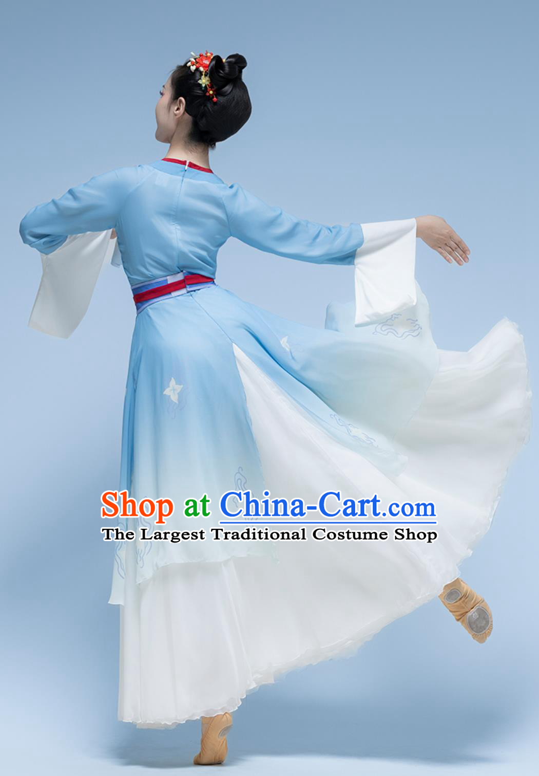 Plum Blossom Border Contemplation Solo Dance Costume Classical Dance Performance Clothing Chinese Ancient Fairy Blue Dress