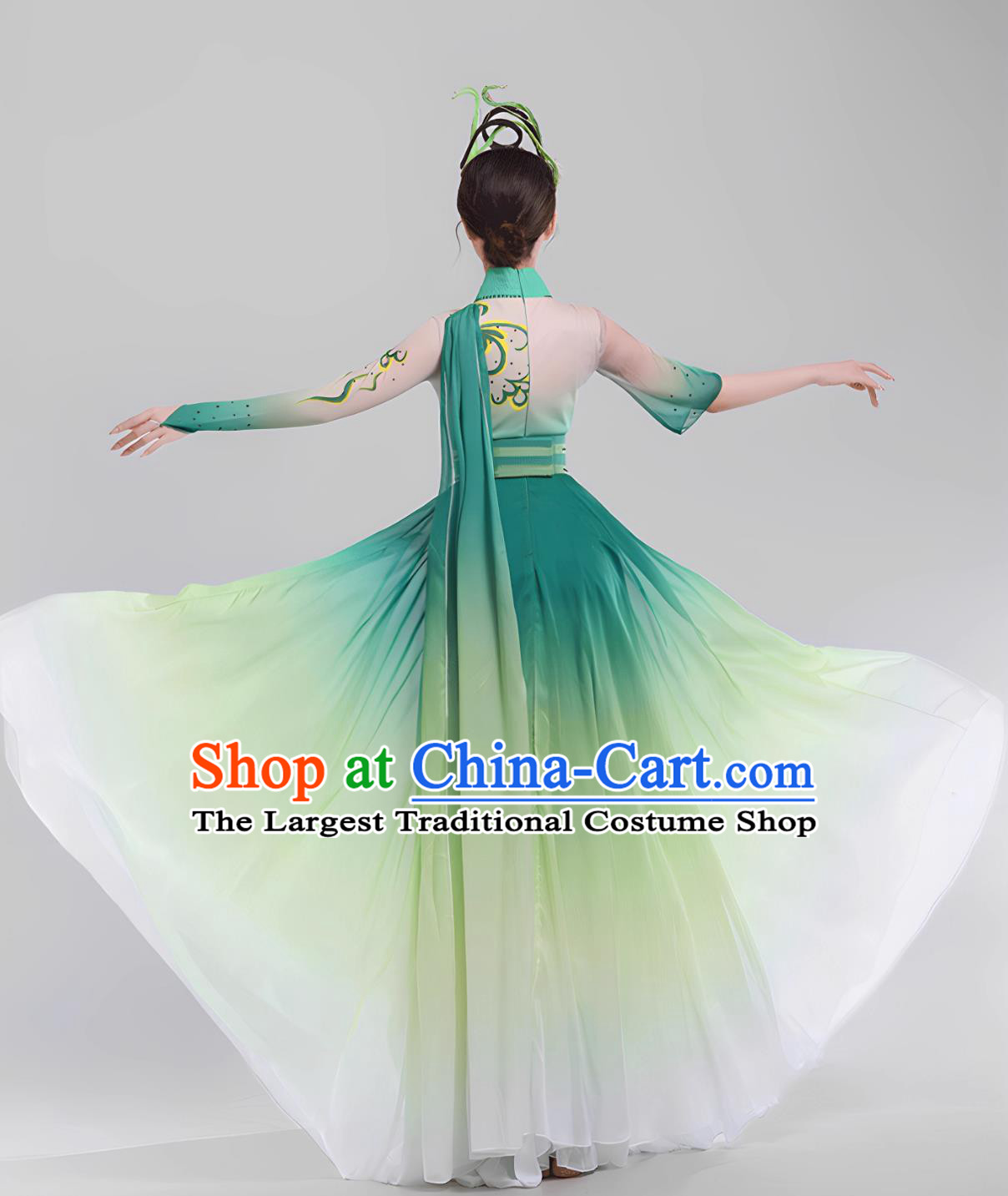 Opening Dance Willow Leaf Legend Costume Classical Dance Attire Ribbon Gradient Green Women Stage Dress