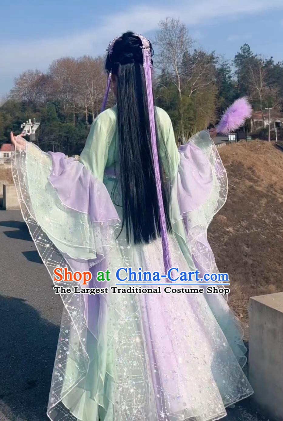 Song Dynasty Hanfu Ancient Fairy Chang E Dress Classical Dance Traditional Chinese Costume