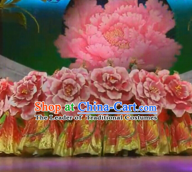 Chinese Dance Costumes Classical Dance Costume Props