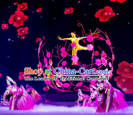 Chinese Dance Costumes Classical Dance Costume Props