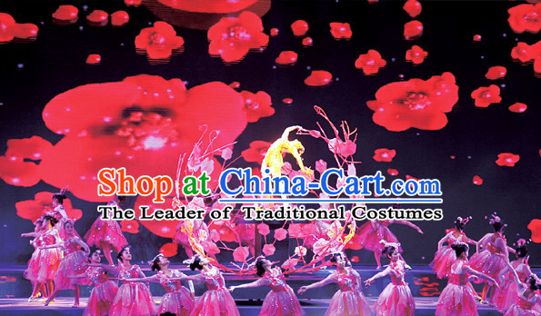 Chinese Dance Costumes Classical Dance Costume Props