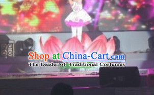 Chinese Dance Costumes Classical Dance Costume Props