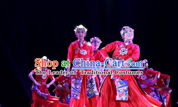 Traditional Chinese Yangge Fan Dancing Costume and Accessories