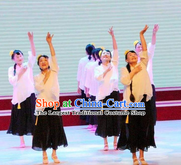 Chinese Traditional Folk Dance Liu Yue Mo Li Outfits Classical Dance Stage Performance Costume for Women