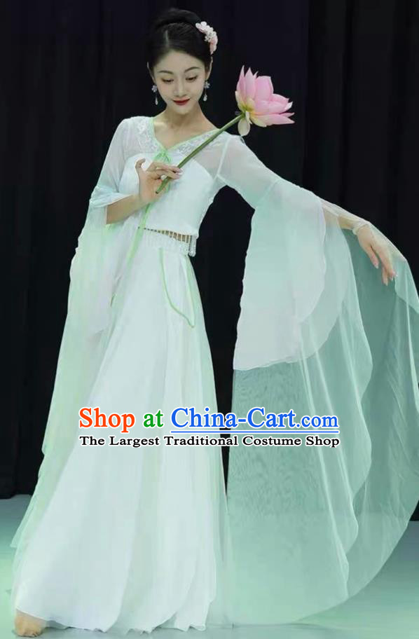 Ethereal Classical Dance Dress Celestial Azure Veins Land Of Etiquette Sifeng Hanfu Classical Dance Costume