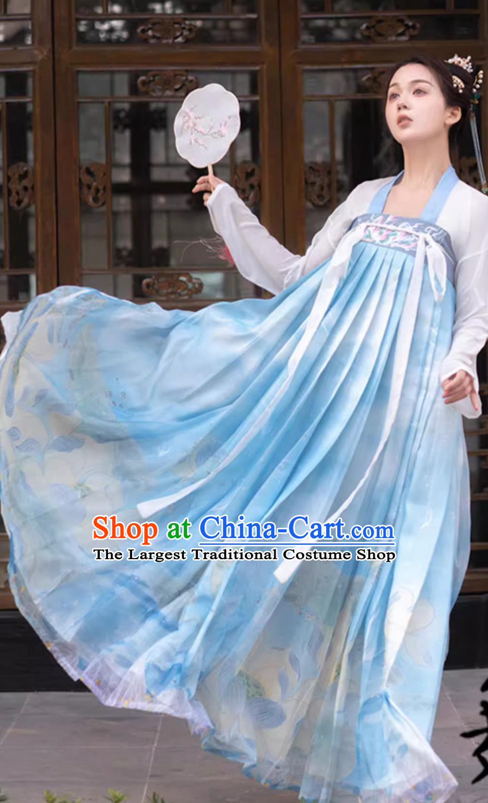 Chinese Tang Dynasty Hanfu Dress Traditional Women Ruqun Ancient China Clothing